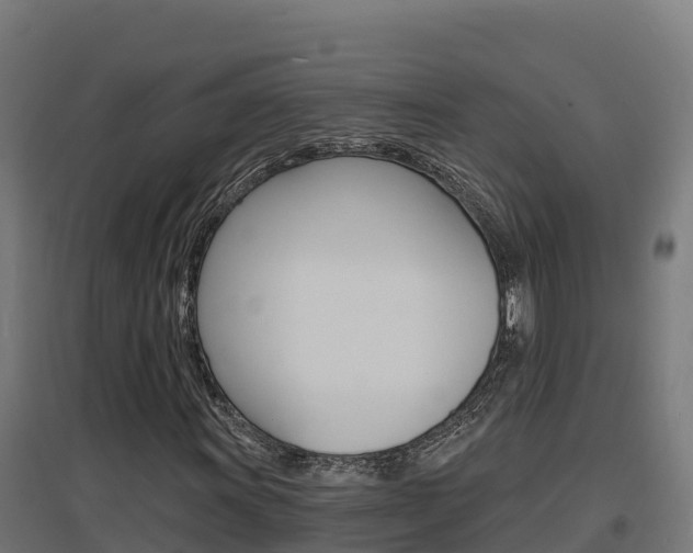 X0000097671011200802290940