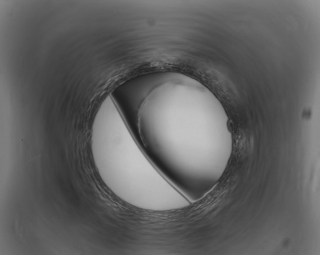 X0000097671012200802290940
