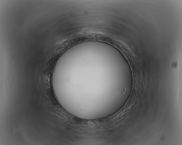 X0000097671013200802290940