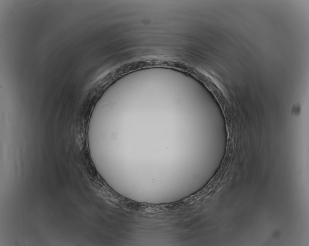 X0000097671015200802290940