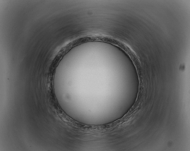 X0000097671016200802290940