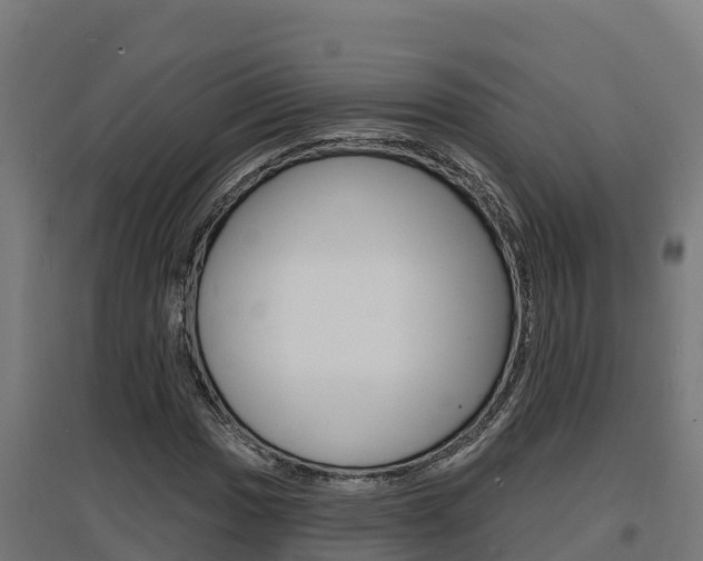 X0000097671017200802290940