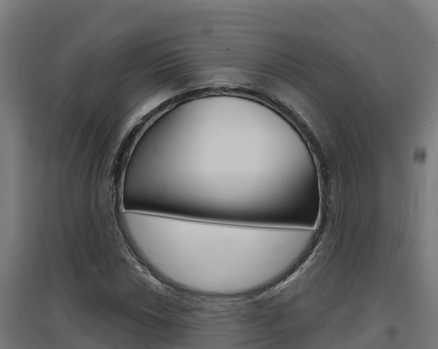 X0000097671018200802290940