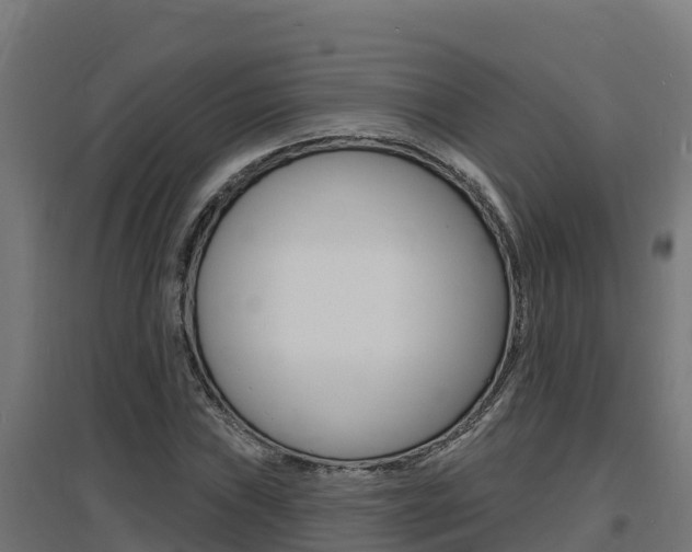 X0000097671019200802290940