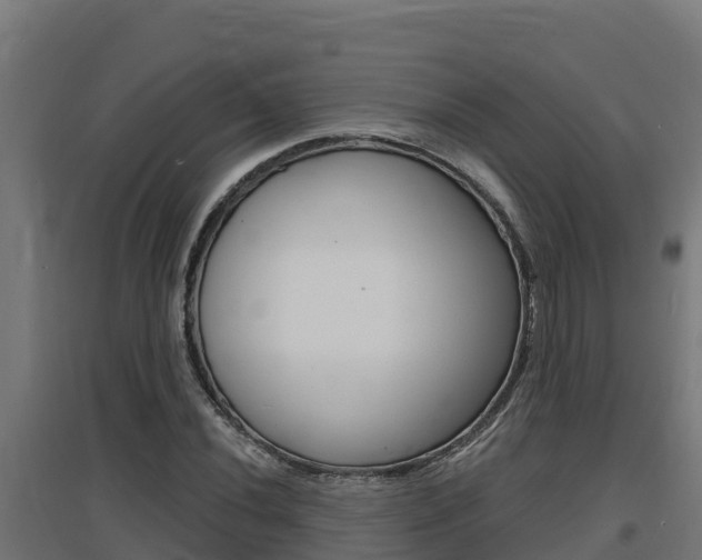 X0000097671020200802290940