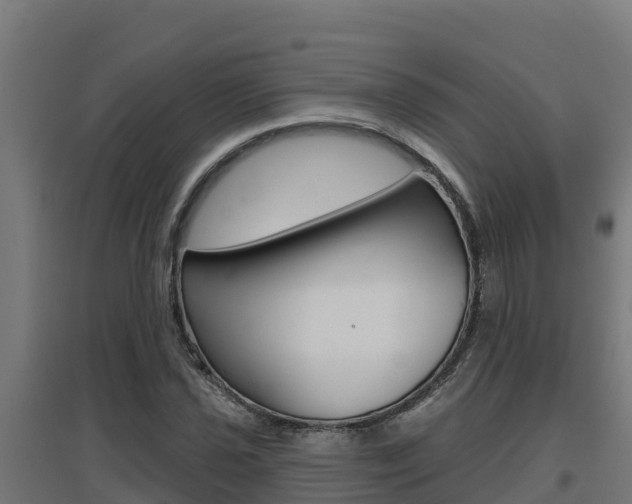 X0000097671021200802290940