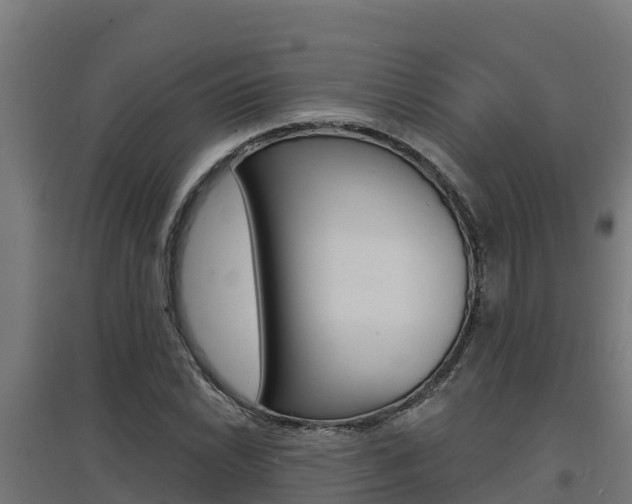 X0000097671022200802290940