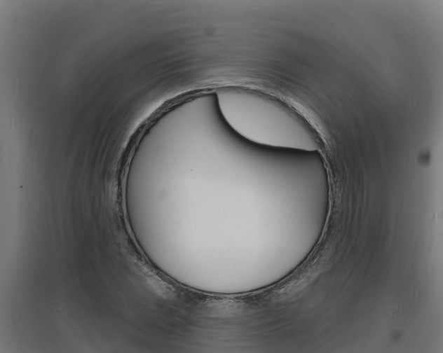 X0000097671023200802290940