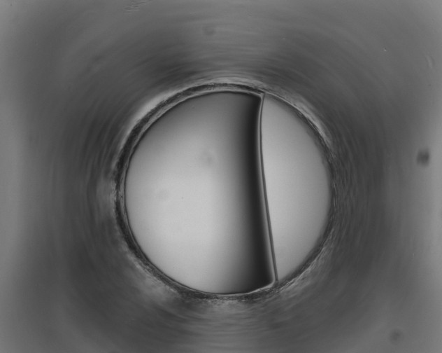 X0000097671024200802290940