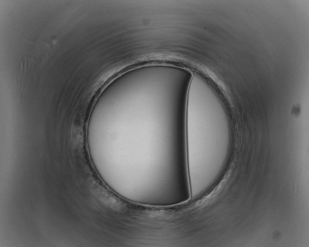 X0000097671025200802290940