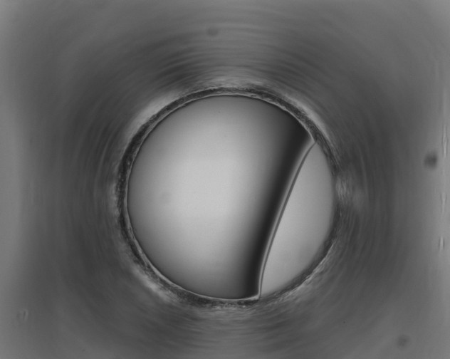 X0000097671026200802290940