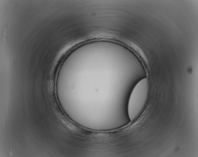 X0000097671027200802290940