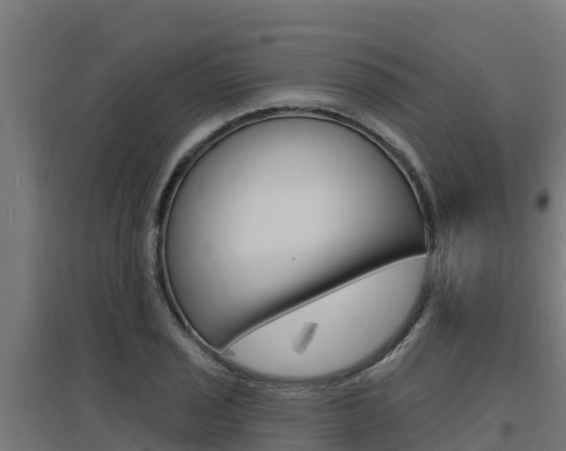 X0000097671029200802290940