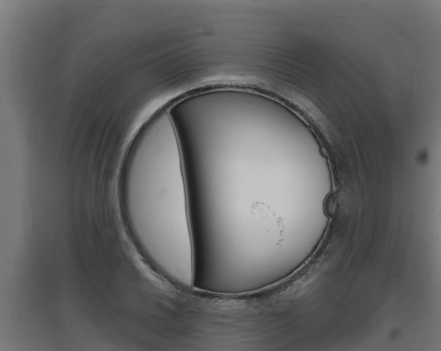 X0000097671030200802290940
