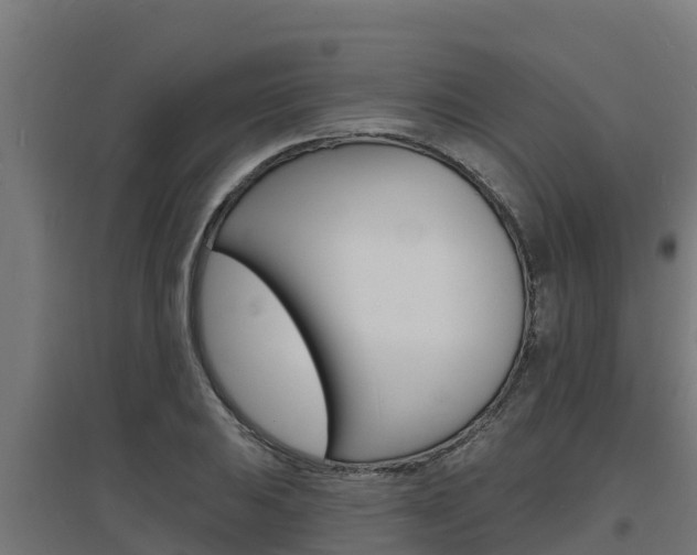 X0000097671031200802290940