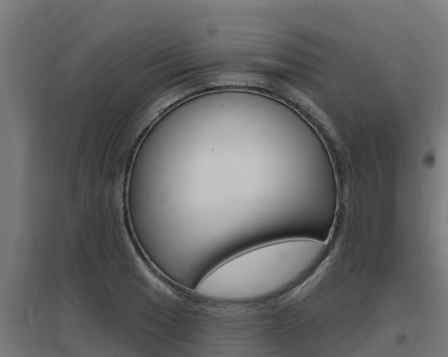 X0000097671033200802290941