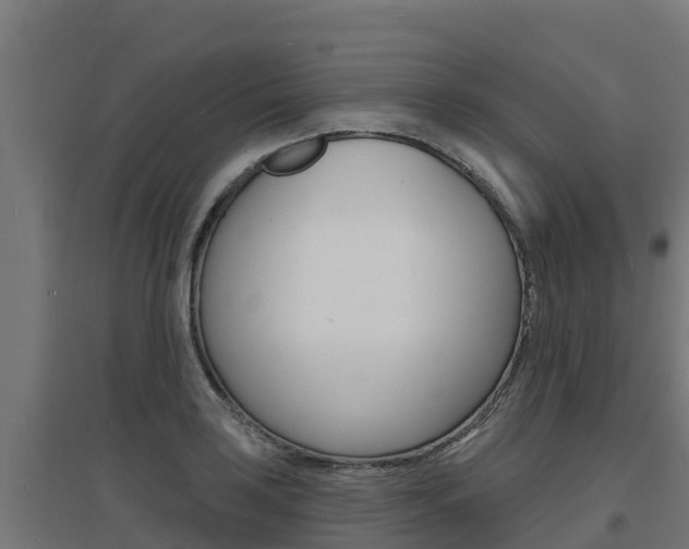 X0000097671035200802290941