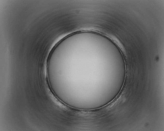 X0000097671036200802290941