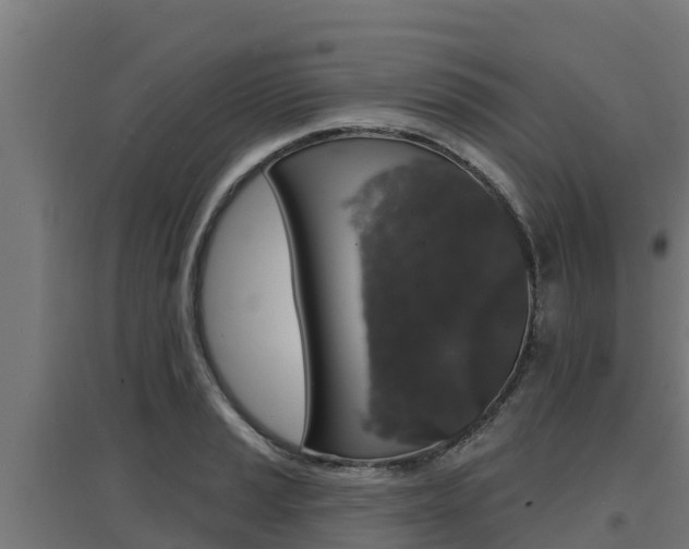 X0000097671037200802290941