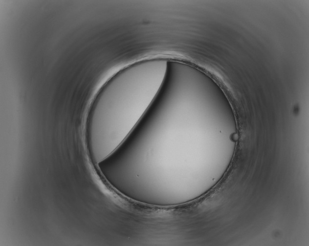 X0000097671038200802290941