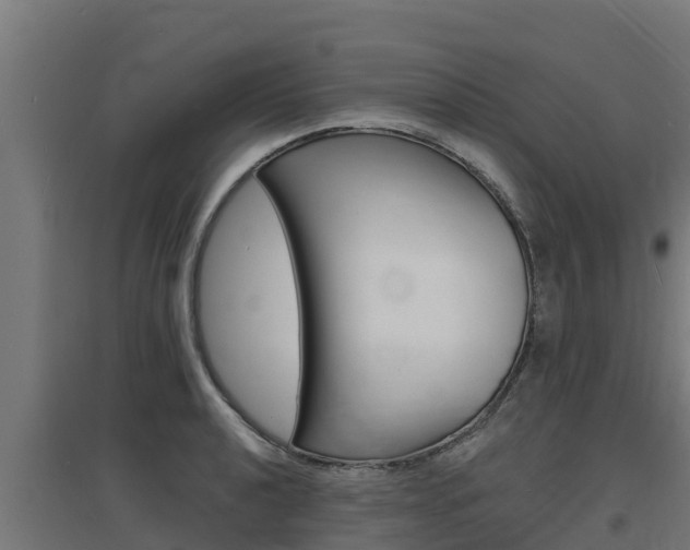 X0000097671040200802290941