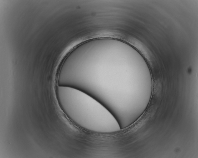 X0000097671043200802290941