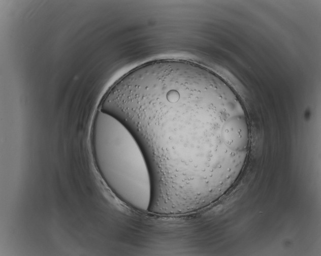X0000097671044200802290941