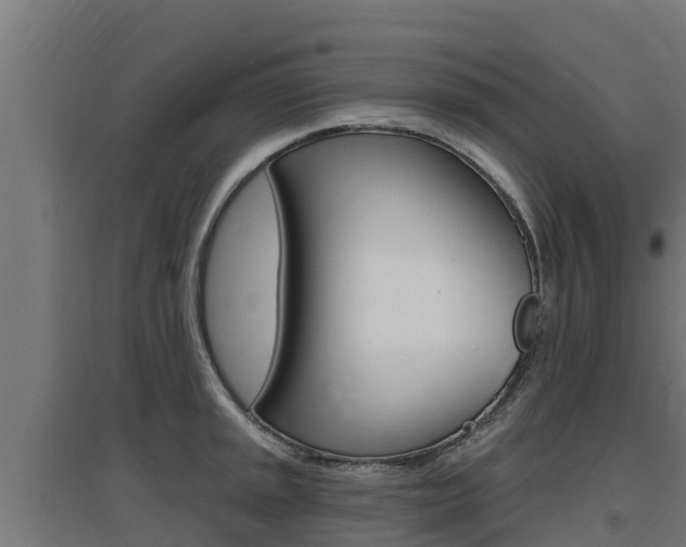 X0000097671045200802290941