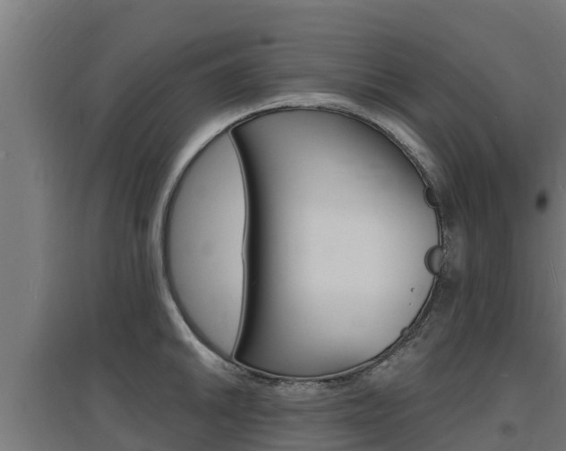 X0000097671046200802290941