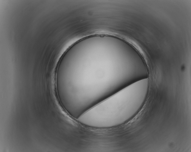 X0000097671048200802290941