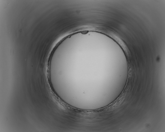 X0000097671051200802290941