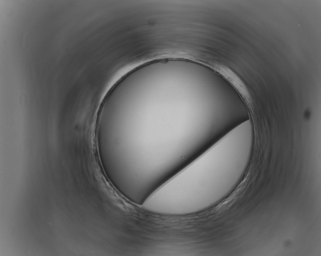 X0000097671052200802290941