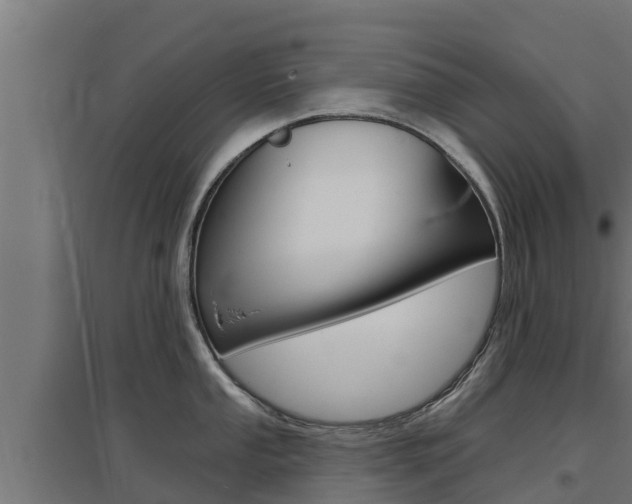 X0000097671053200802290941