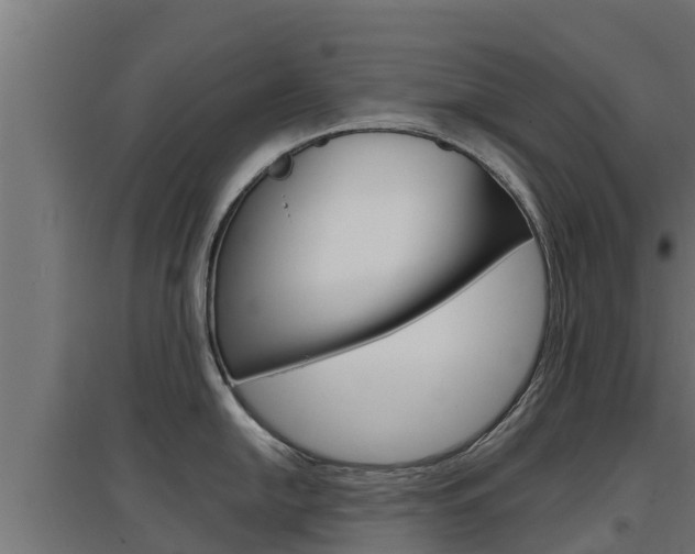 X0000097671054200802290941