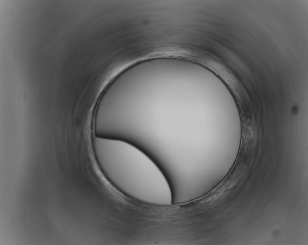 X0000097671055200802290941