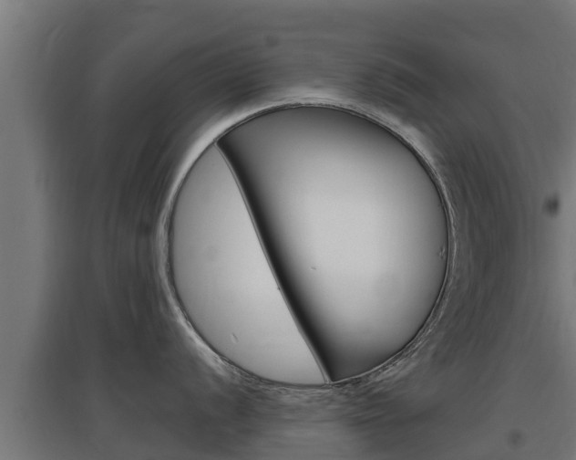 X0000097671056200802290941