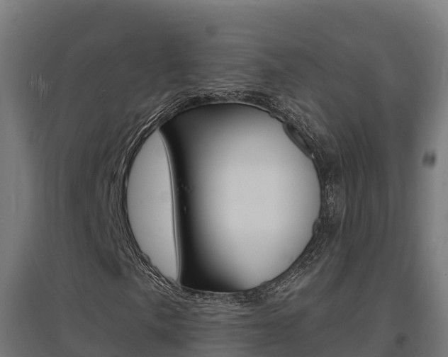 X0000097671057200802290940