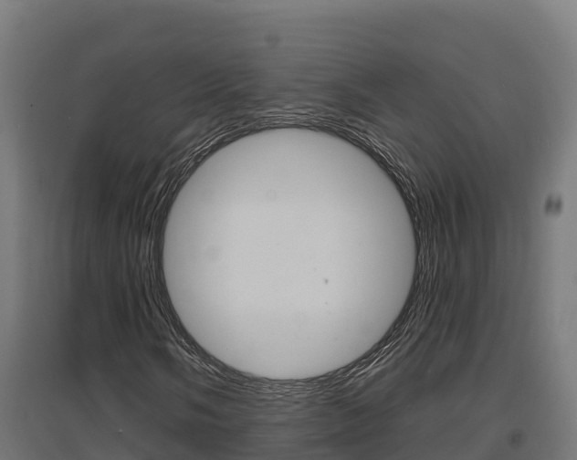 X0000097671058200802290940