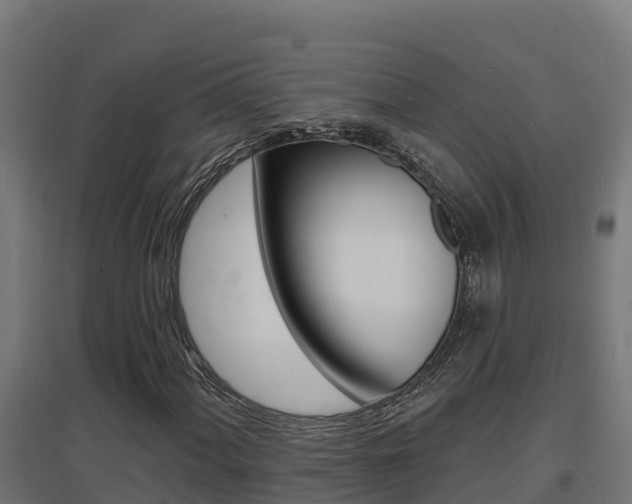 X0000097671060200802290940
