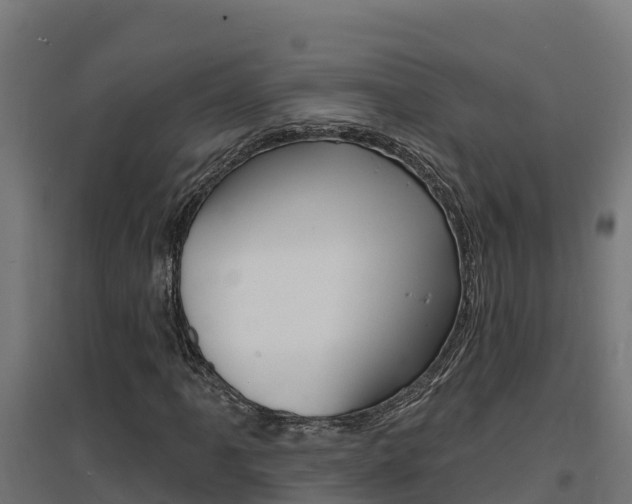 X0000097671061200802290940