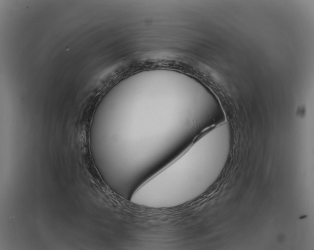 X0000097671062200802290940