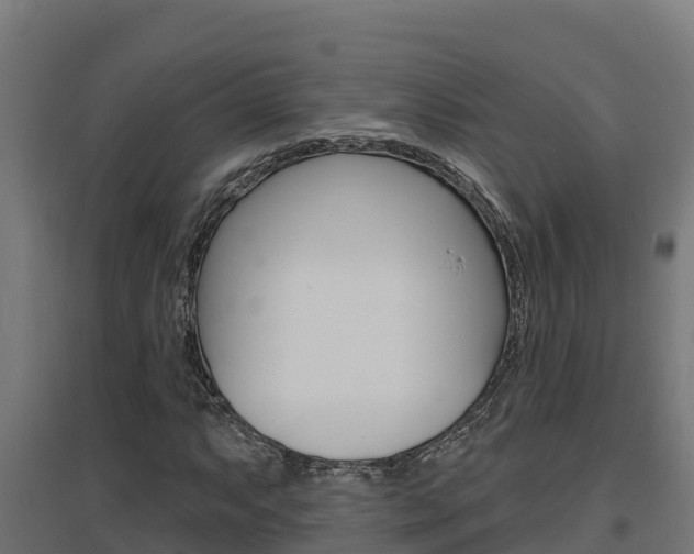 X0000097671063200802290940
