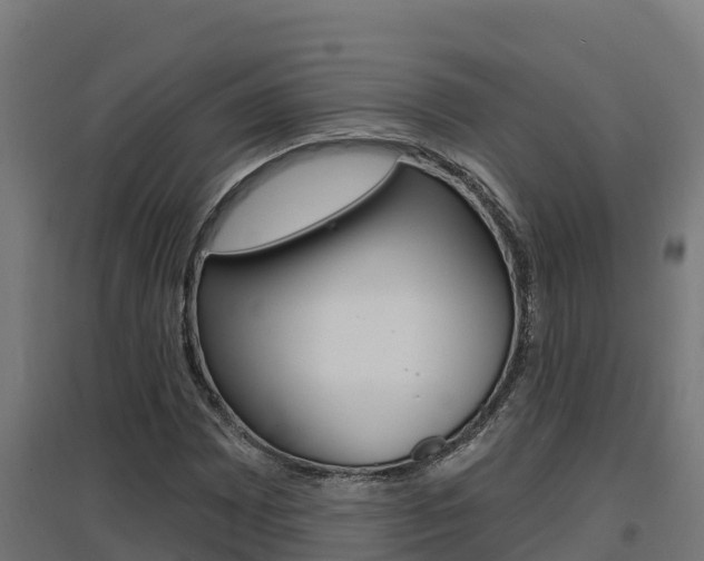 X0000097671065200802290940