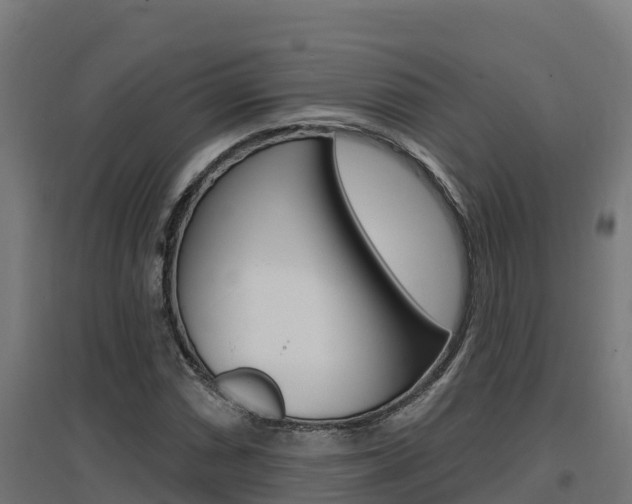 X0000097671066200802290940