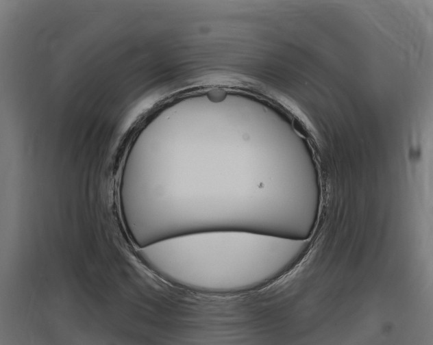 X0000097671067200802290940
