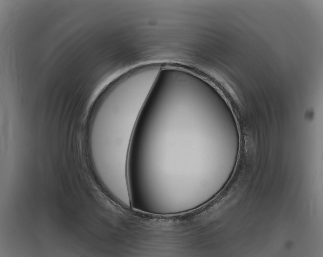 X0000097671069200802290940