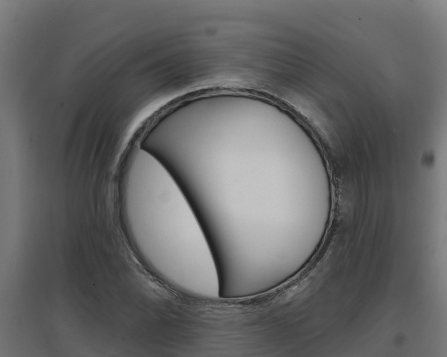 X0000097671070200802290940