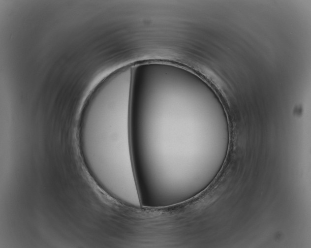 X0000097671072200802290940