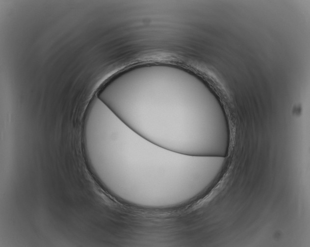 X0000097671073200802290940