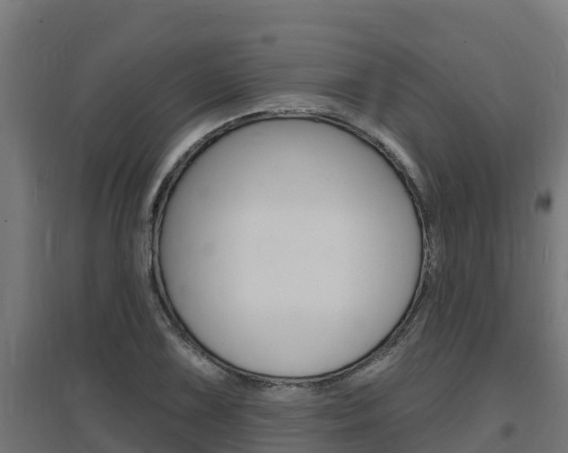 X0000097671075200802290940